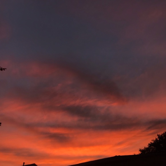 Meet your Posher, Sanama - Picture 1 of 1